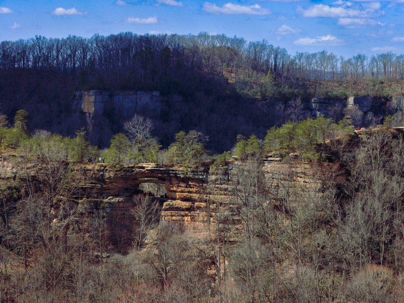 View from Auxier Ridge at Red River Gorge