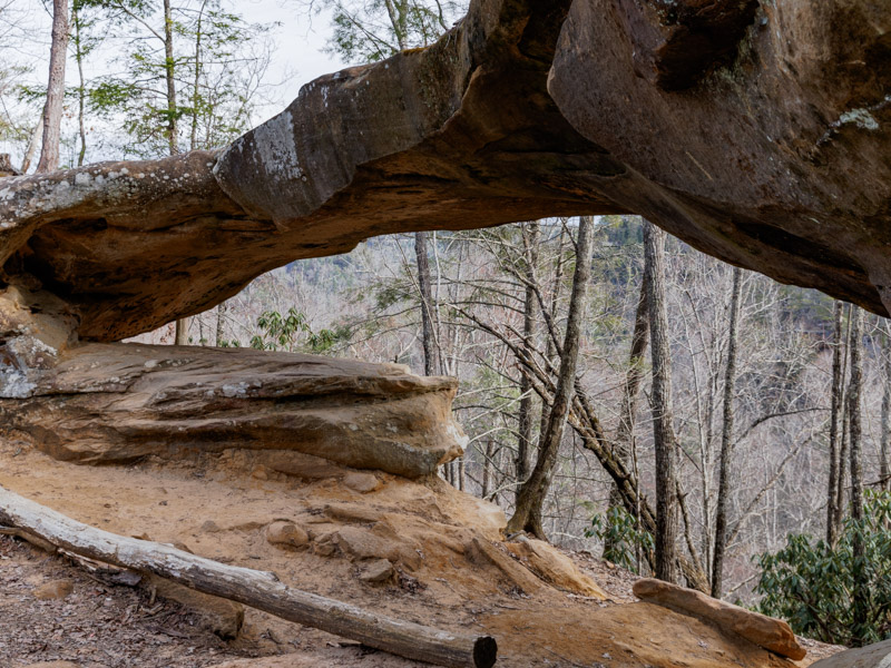 Princess Arch at Red River Gorge