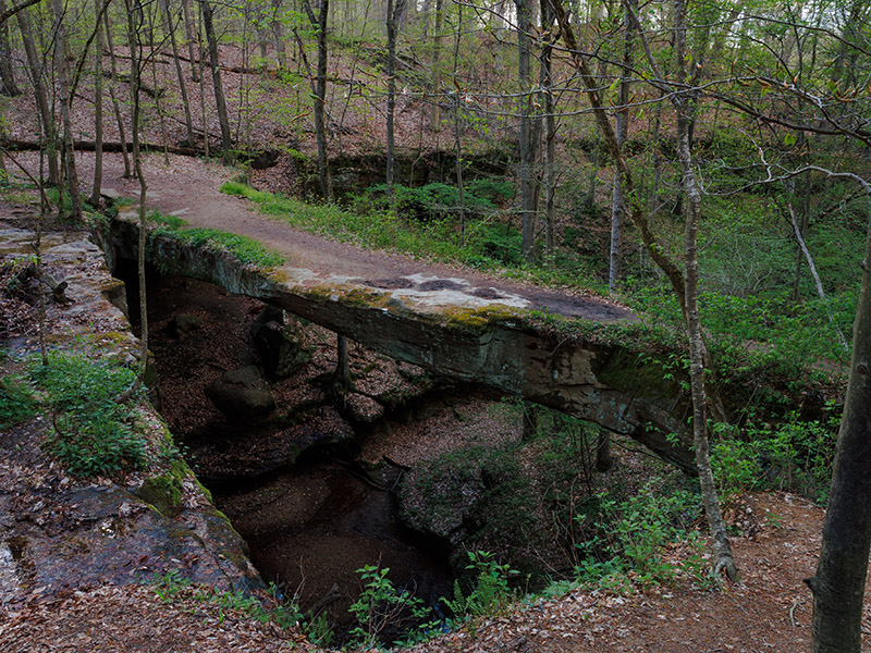 The bridge at Rockbridge State Nature Preserve.