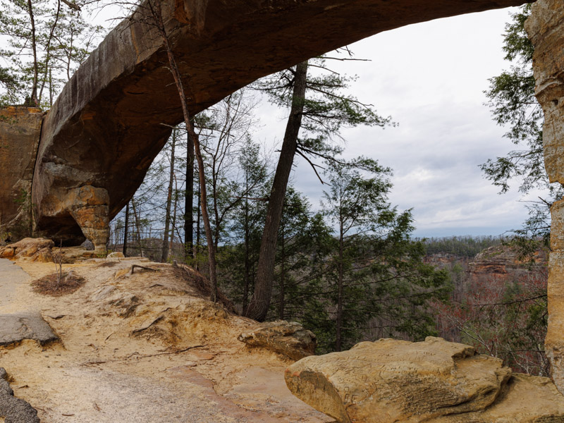 Underneath Sky Bridge.