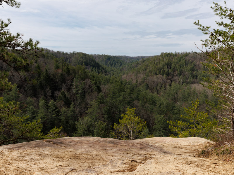 The overlook at Whistling Arch.