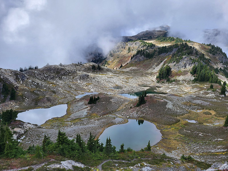 Yellow Aster Butte